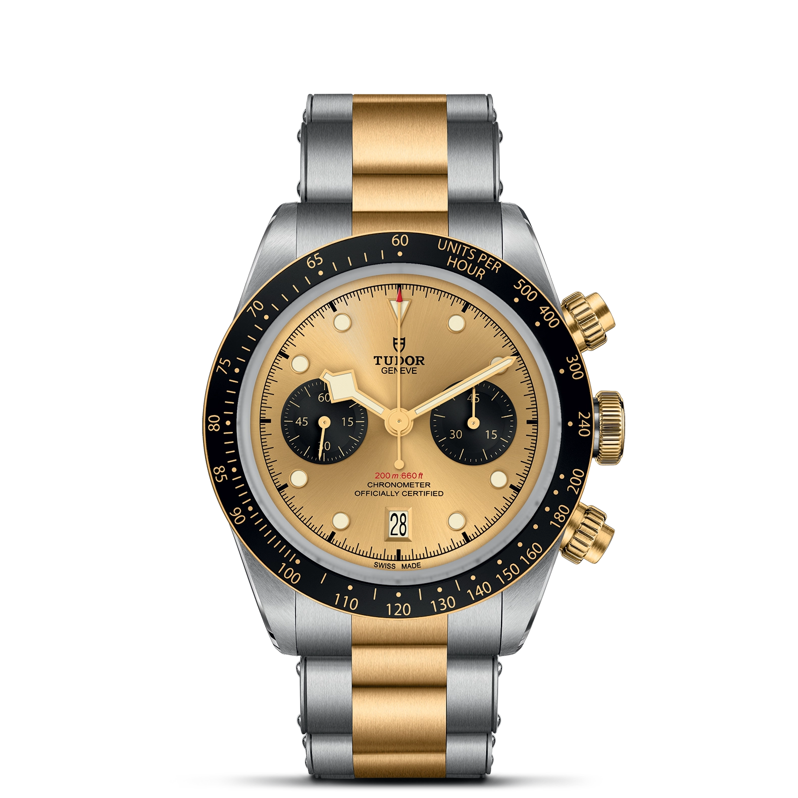 tudor-royal-available-models-img