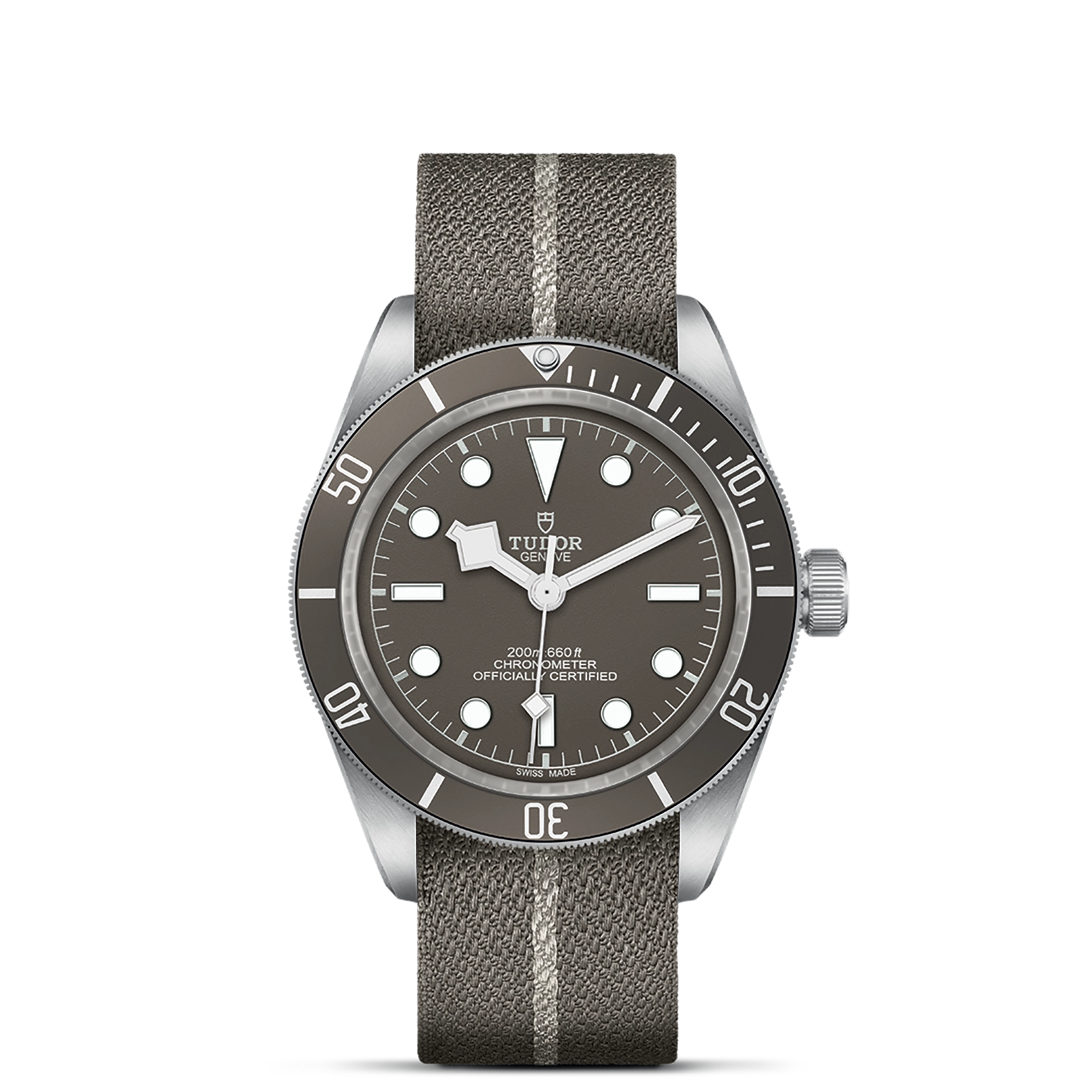Tudor Black Bay 58 925 - Model No. M79010SG-0002