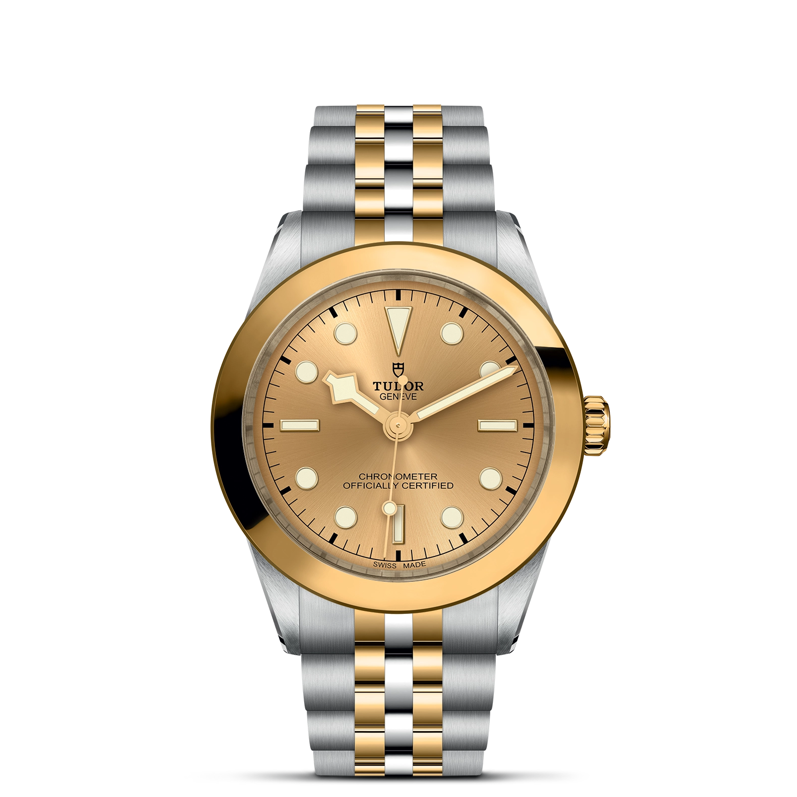 Tudor Black Bay One 39 S&G - Model No. M79663-0005