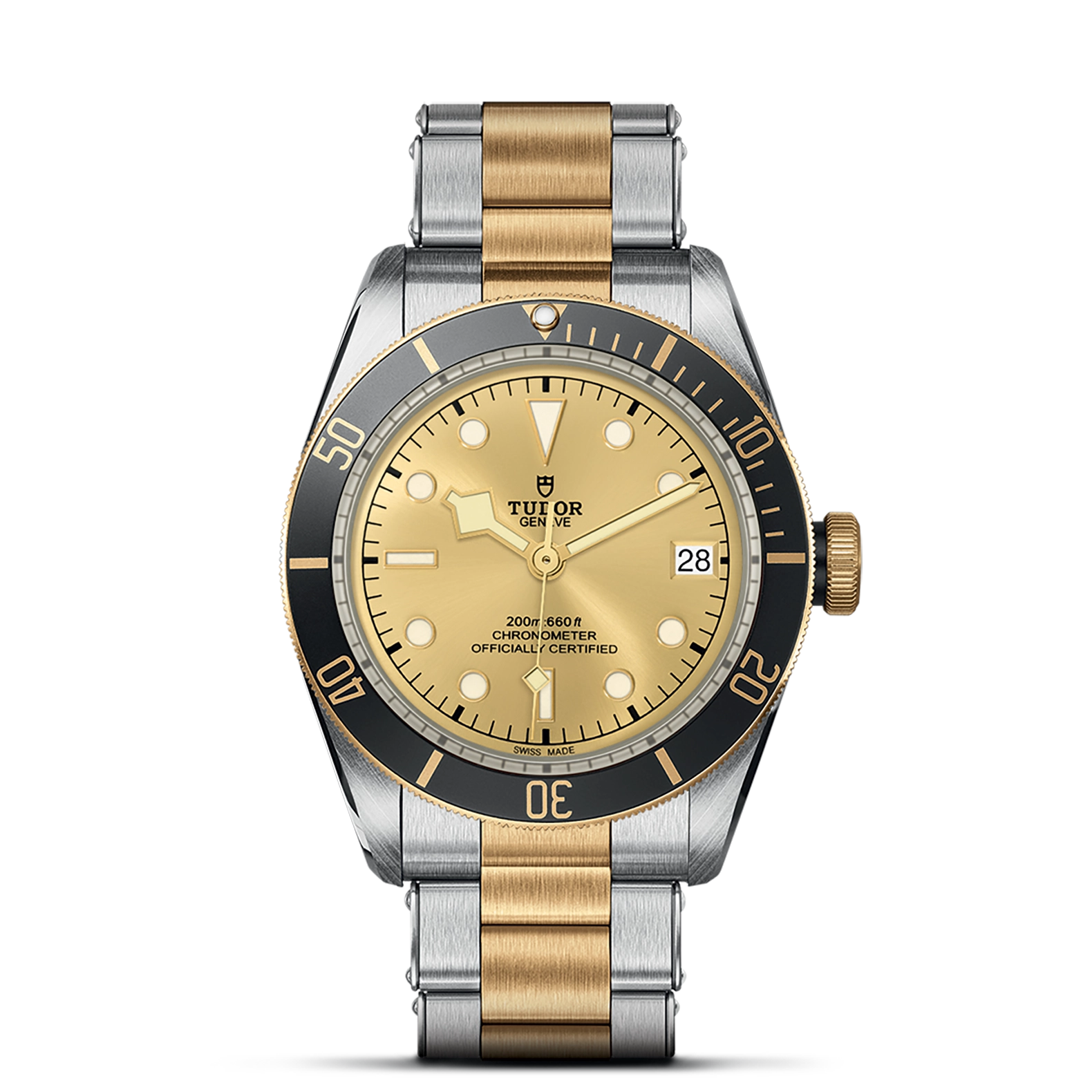Tudor Black Bay S&G - Model No. M79733N-0004