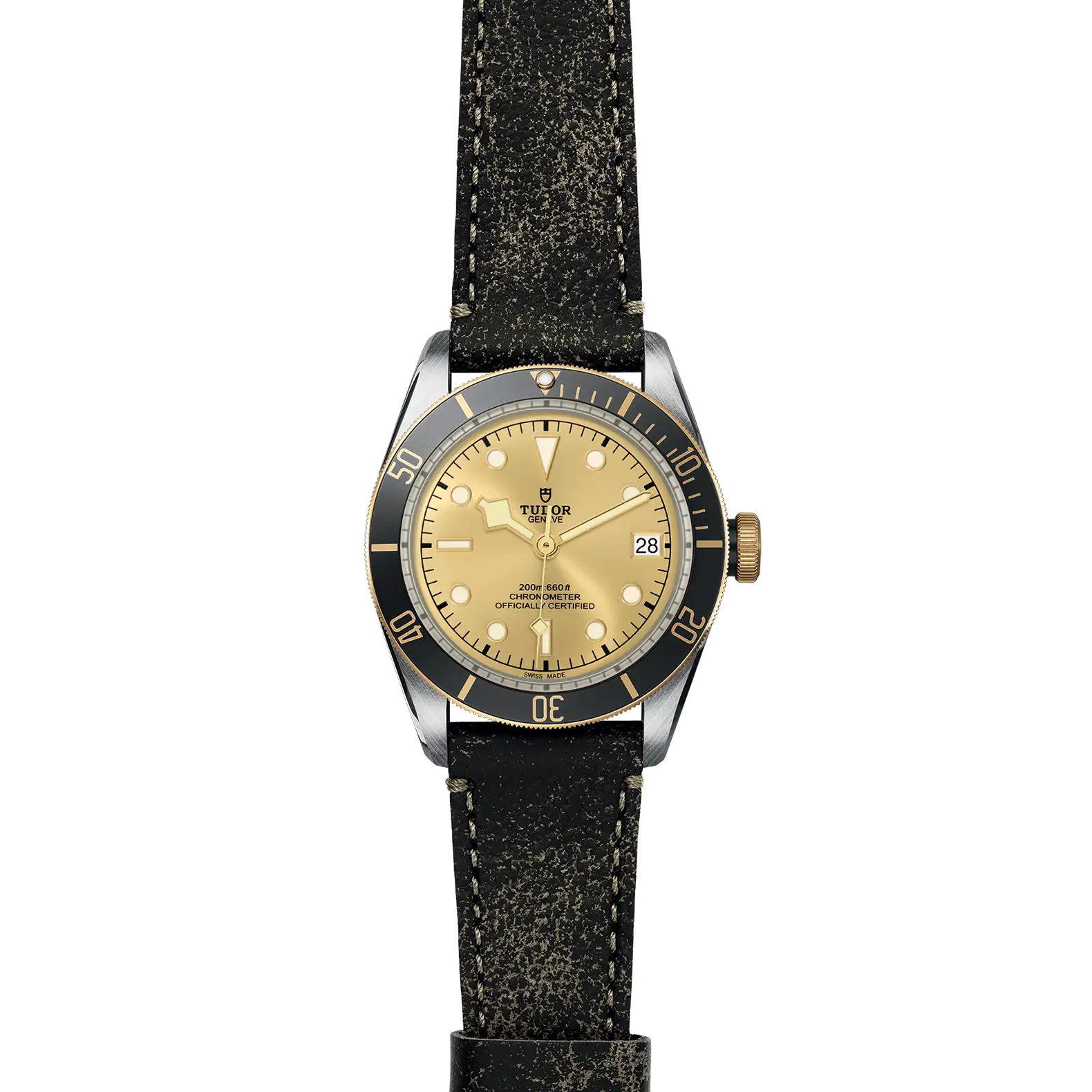 Tudor Black Bay S&G - Model No. M79733N-0003
