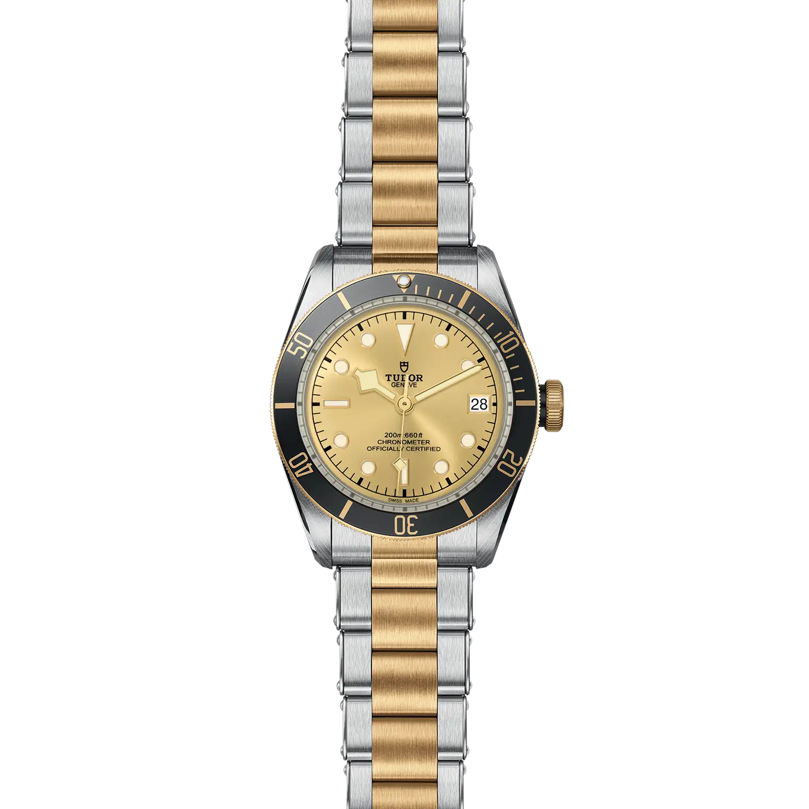 Tudor Black Bay S&G - Model No. M79733N-0004