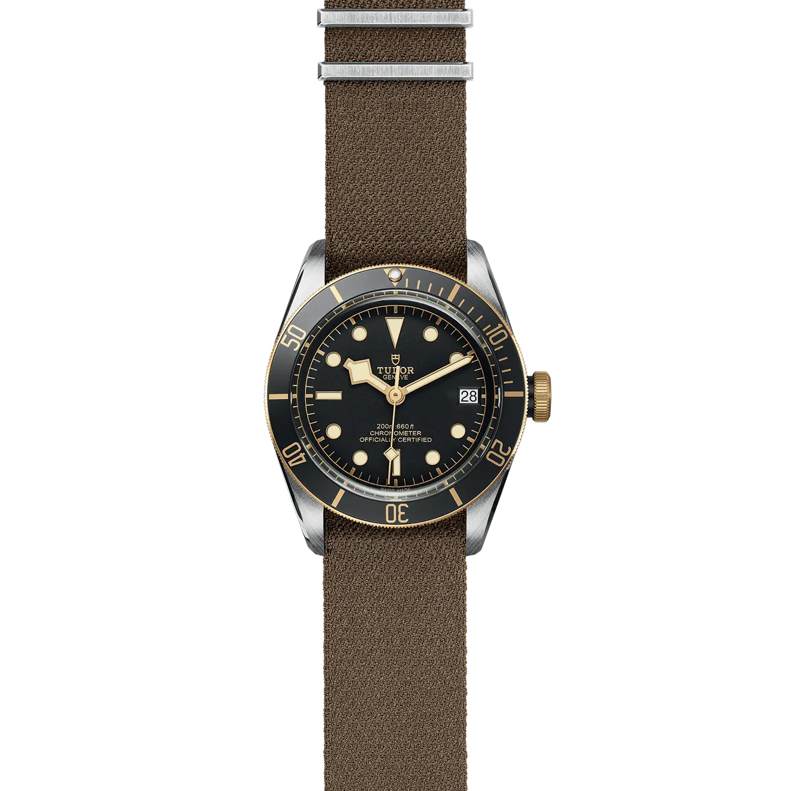 Tudor Black Bay S&G - Model No. M79733N-0005