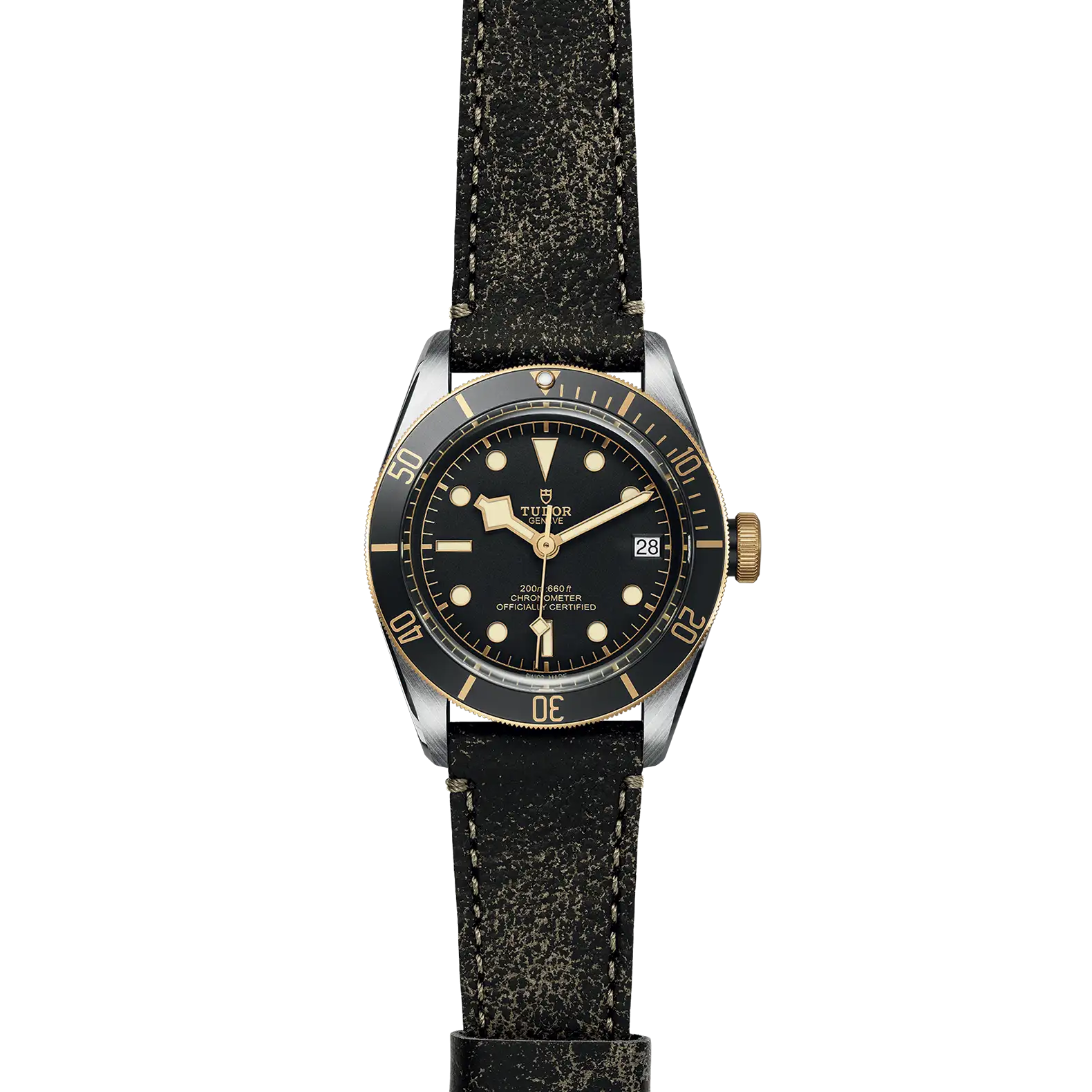 Tudor Black Bay S&G - Model No. M79733N-0007