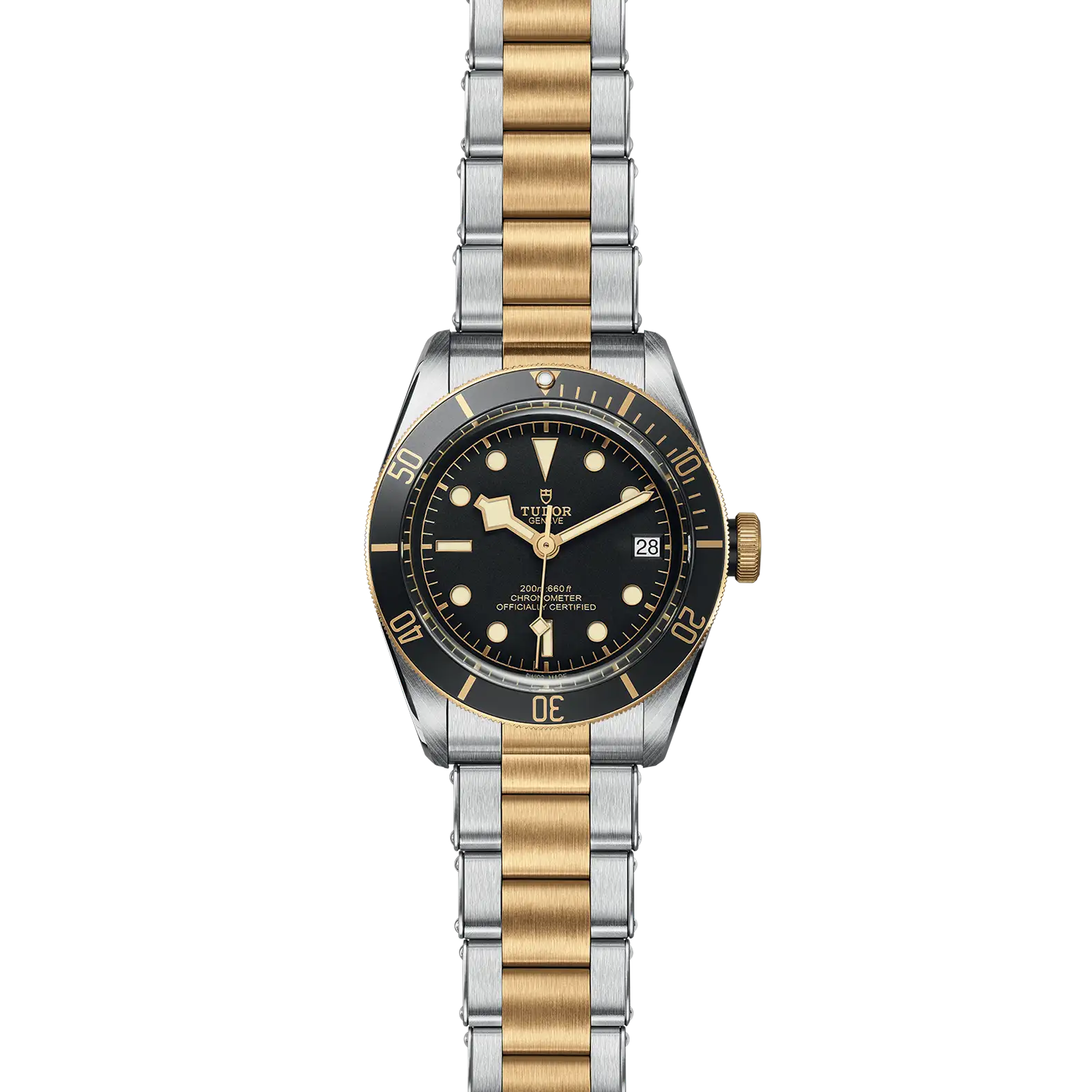 Tudor Black Bay S&G - Model No. M79733N-0008