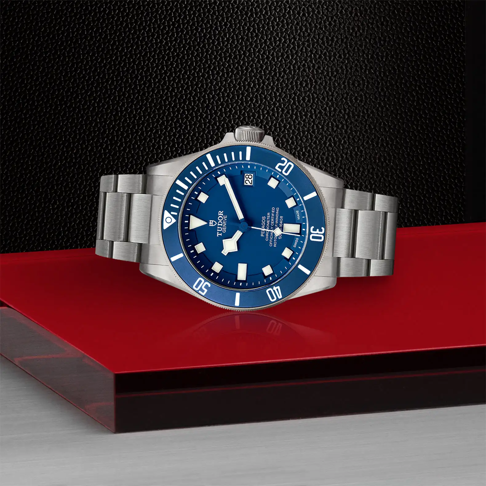 Tudor Pelagos - Model No. M25600TB-0001
