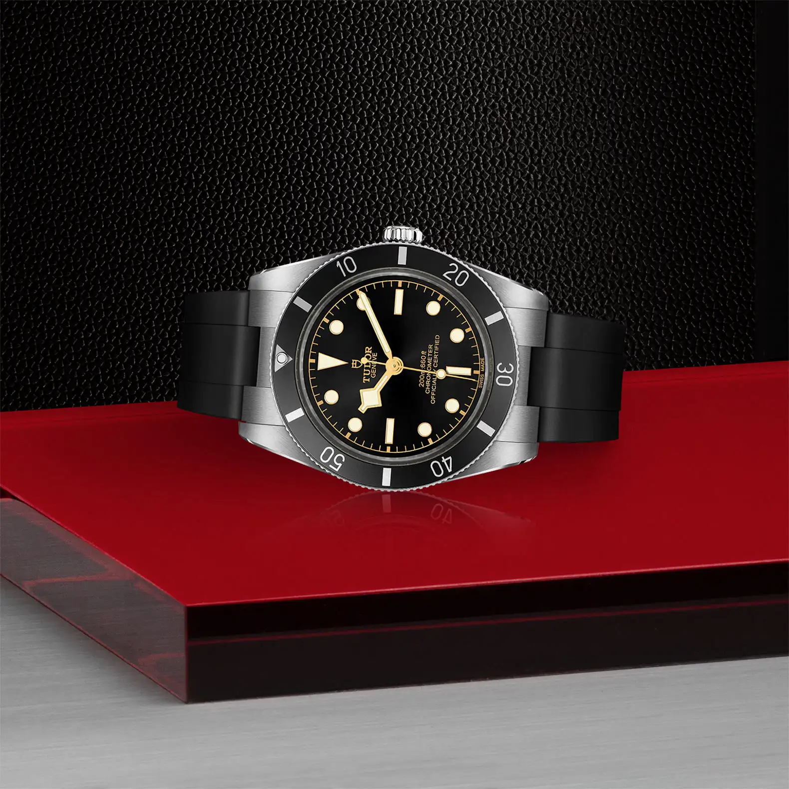 Tudor Black Bay 54 - Model No. M79000N-0002