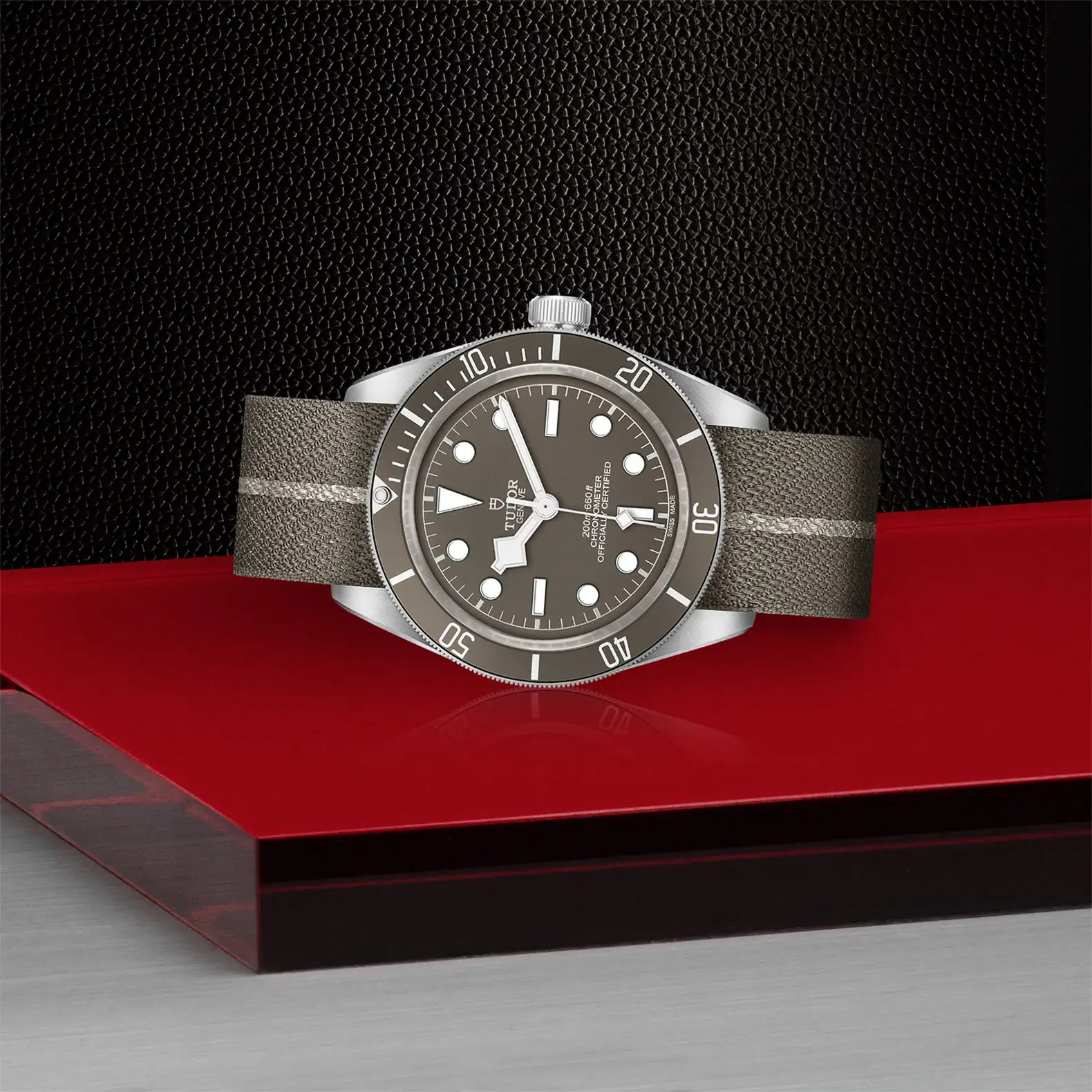 Tudor Black Bay 58 925 - Model No. M79010SG-0002