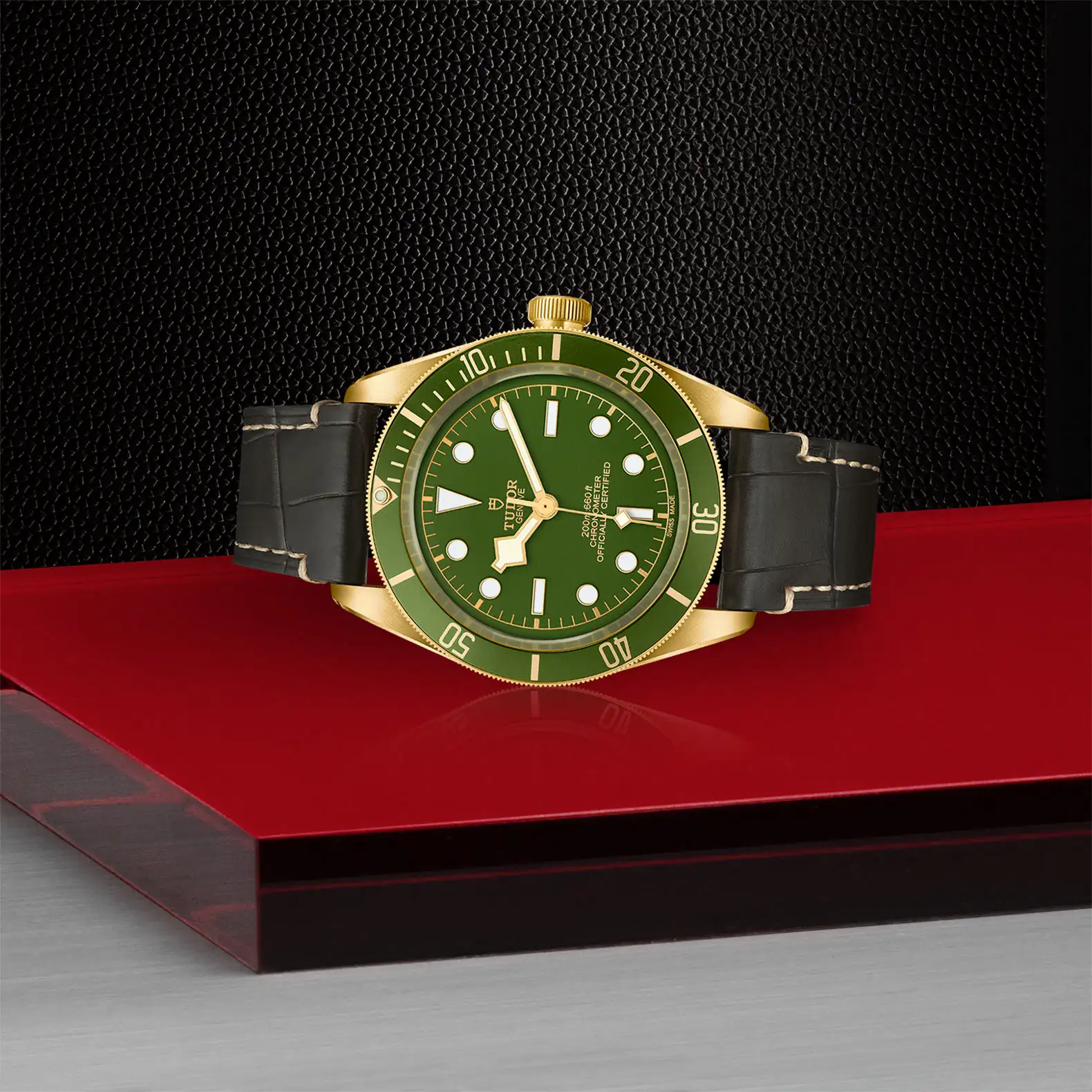 Tudor Black Bay 58 18K - Model No. M79018V-0001