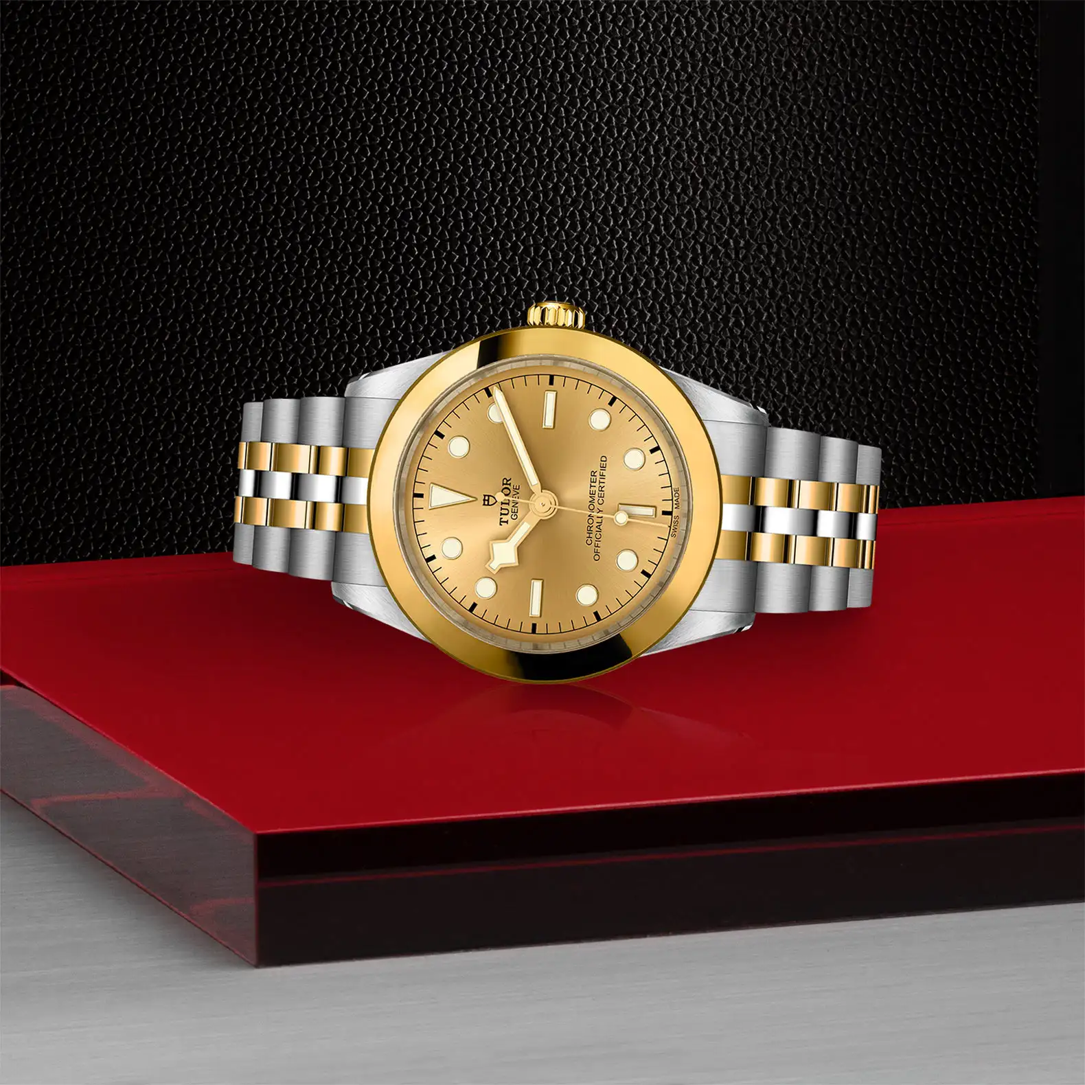 Tudor Black Bay One 39 S&G - Model No. M79663-0005