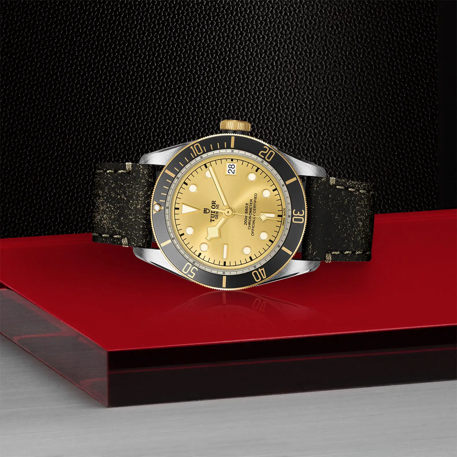 Tudor Black Bay S&G - Model No. M79733N-0003