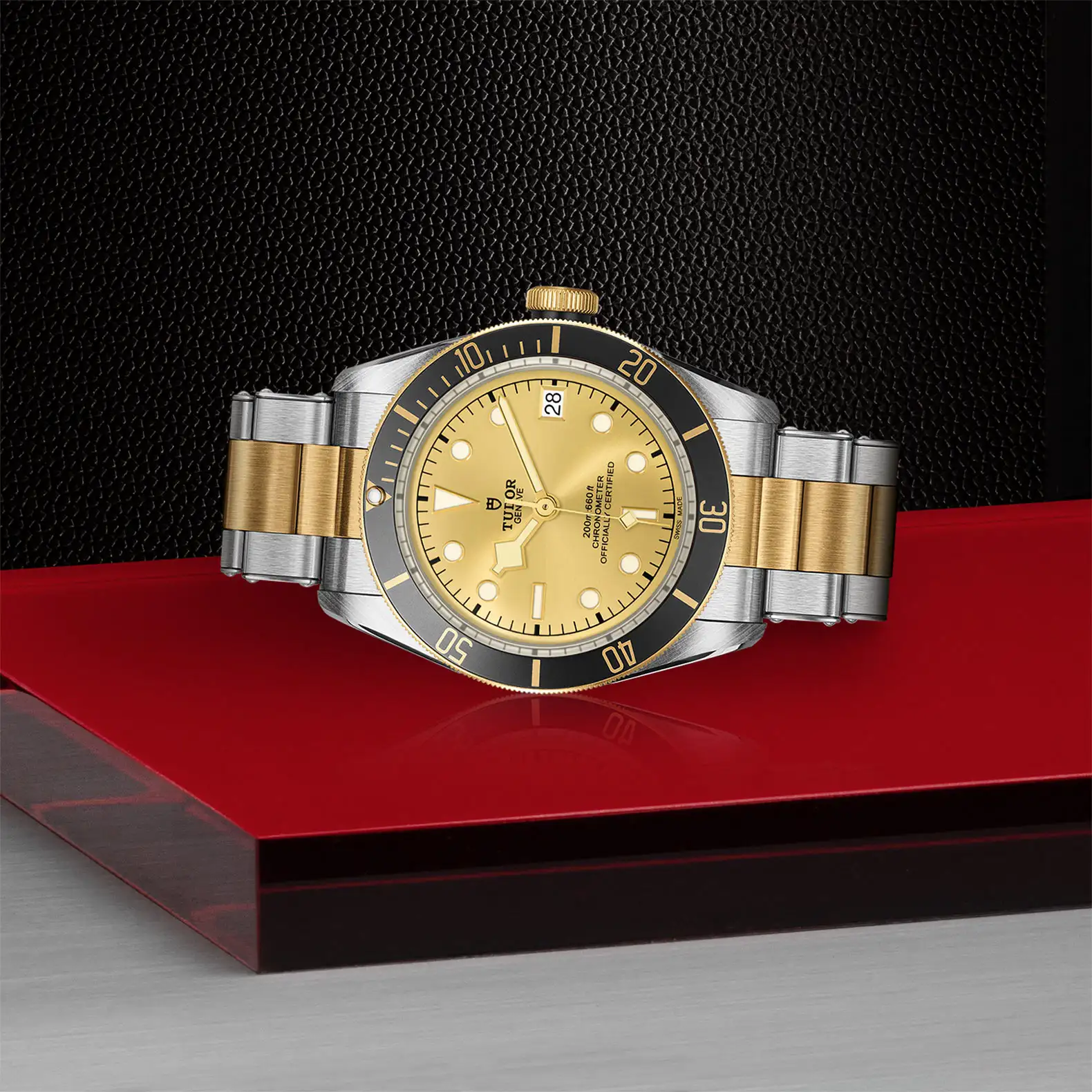 Tudor Black Bay S&G - Model No. M79733N-0004