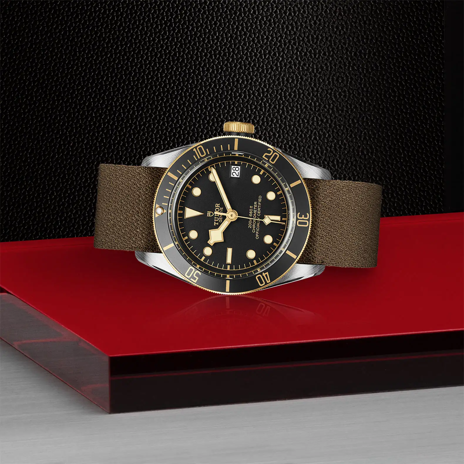 Tudor Black Bay S&G - Model No. M79733N-0005