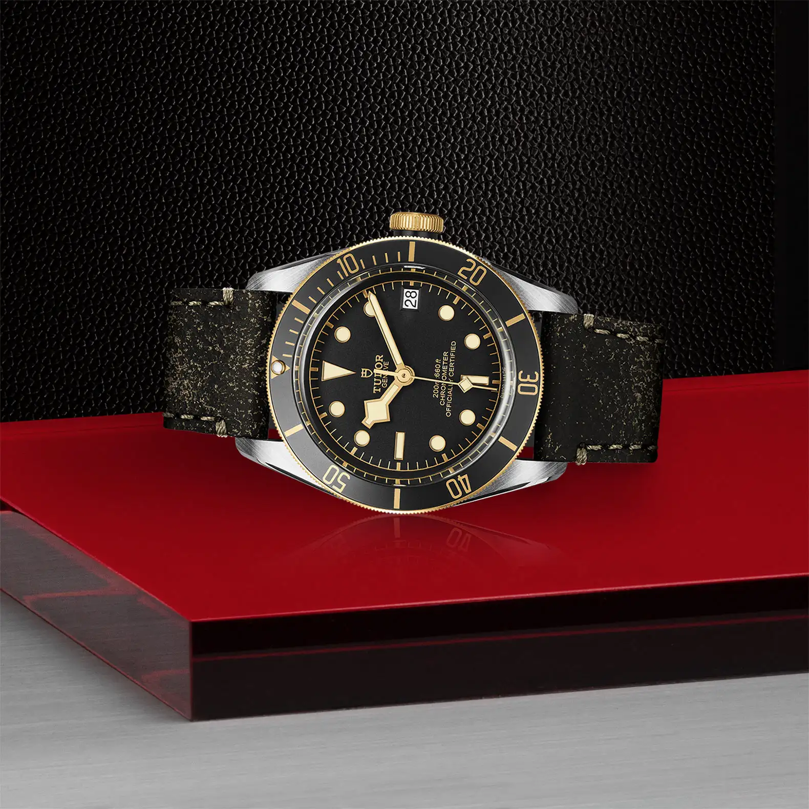 Tudor Black Bay S&G - Model No. M79733N-0007