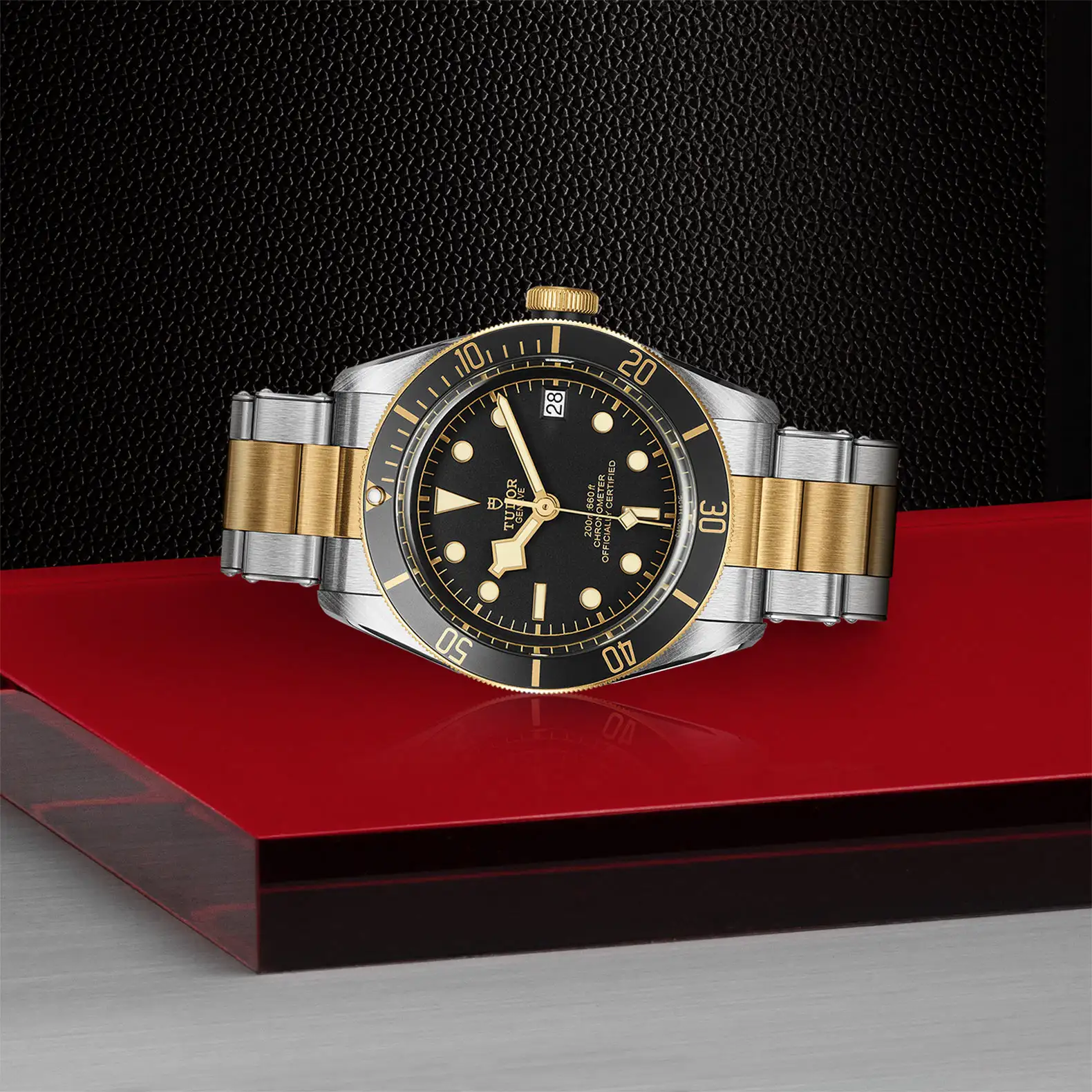 Tudor Black Bay S&G - Model No. M79733N-0008