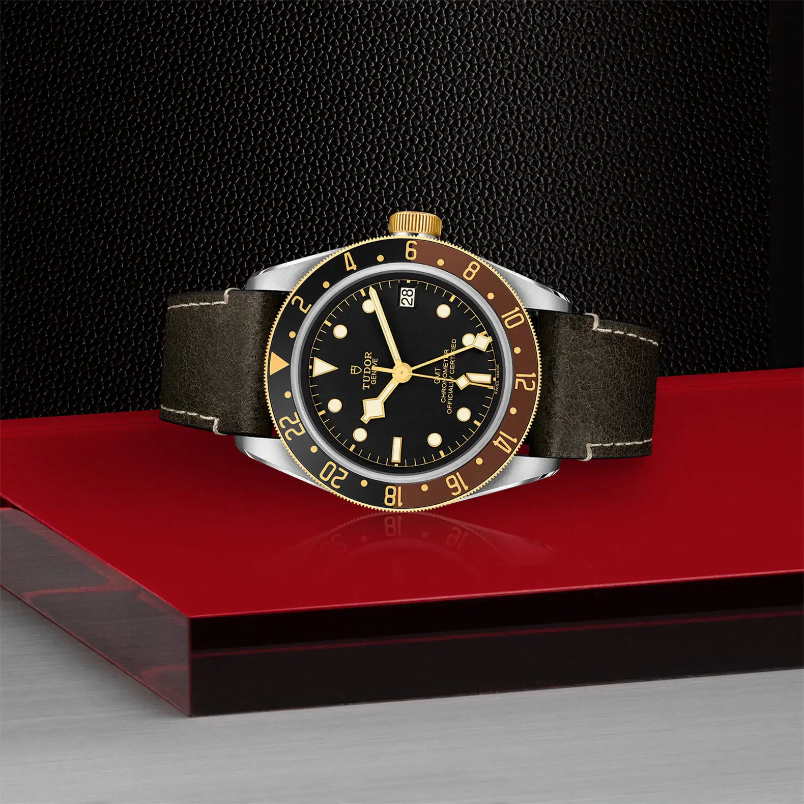 Tudor Black Bay GMT S&G - Model No. M79833MN-0003