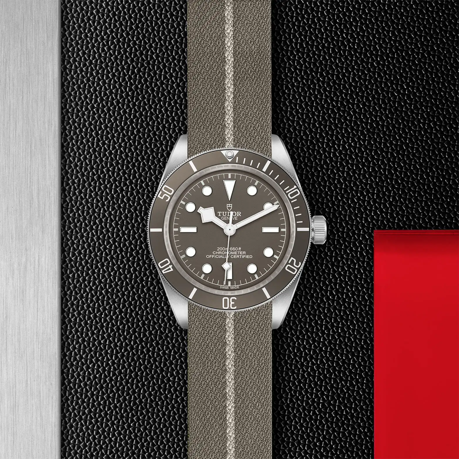 Tudor Black Bay 58 925 - Model No. M79010SG-0002