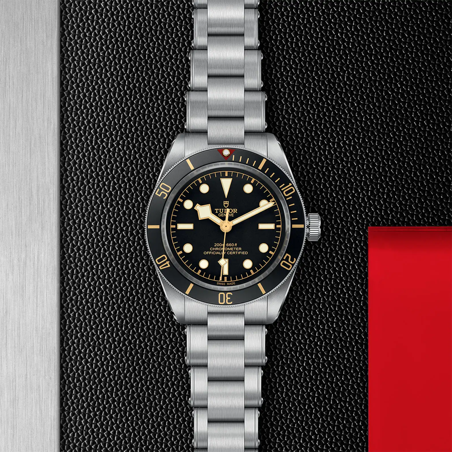 Tudor Black Bay 58 - Model No. M79030N-0001