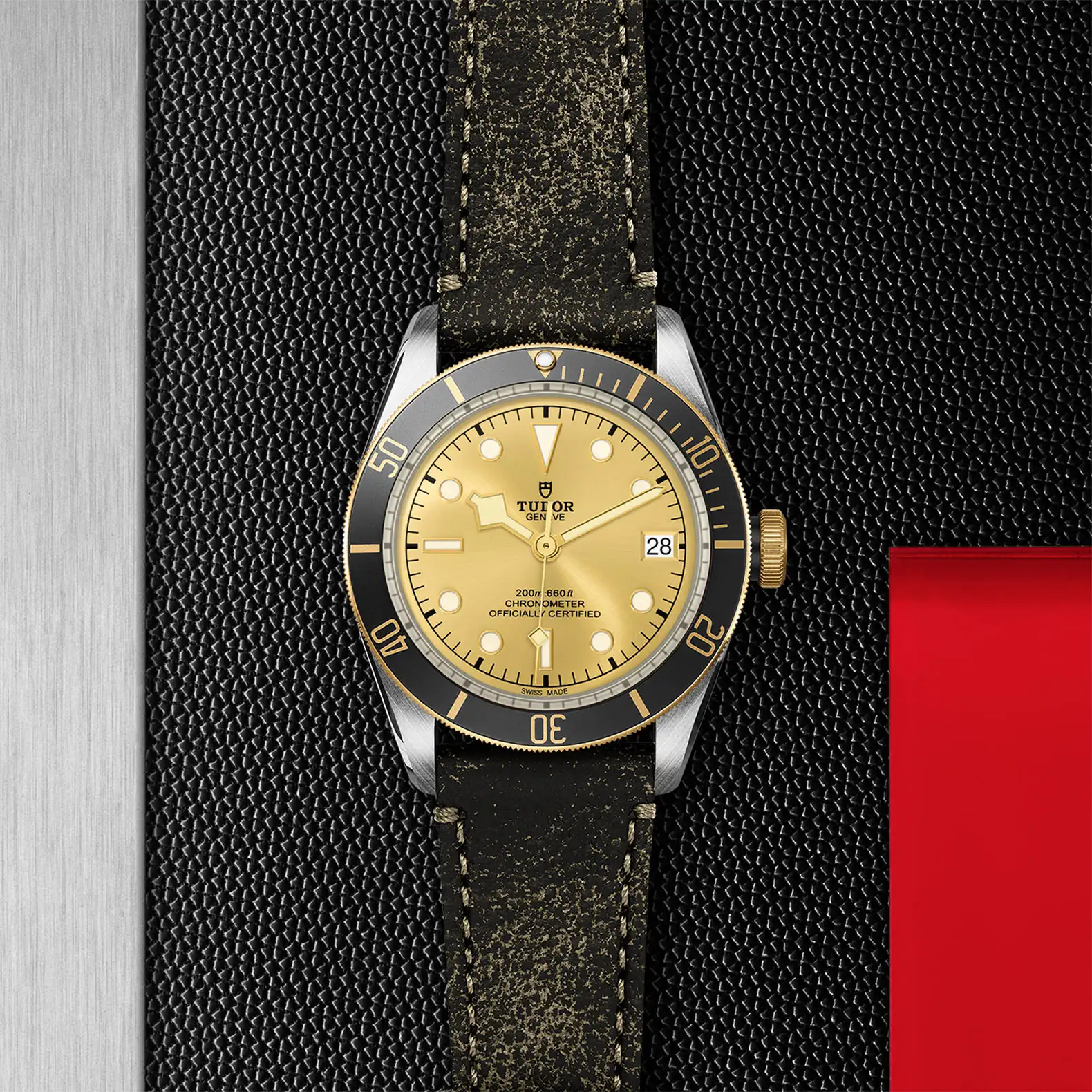 Tudor Black Bay S&G - Model No. M79733N-0003