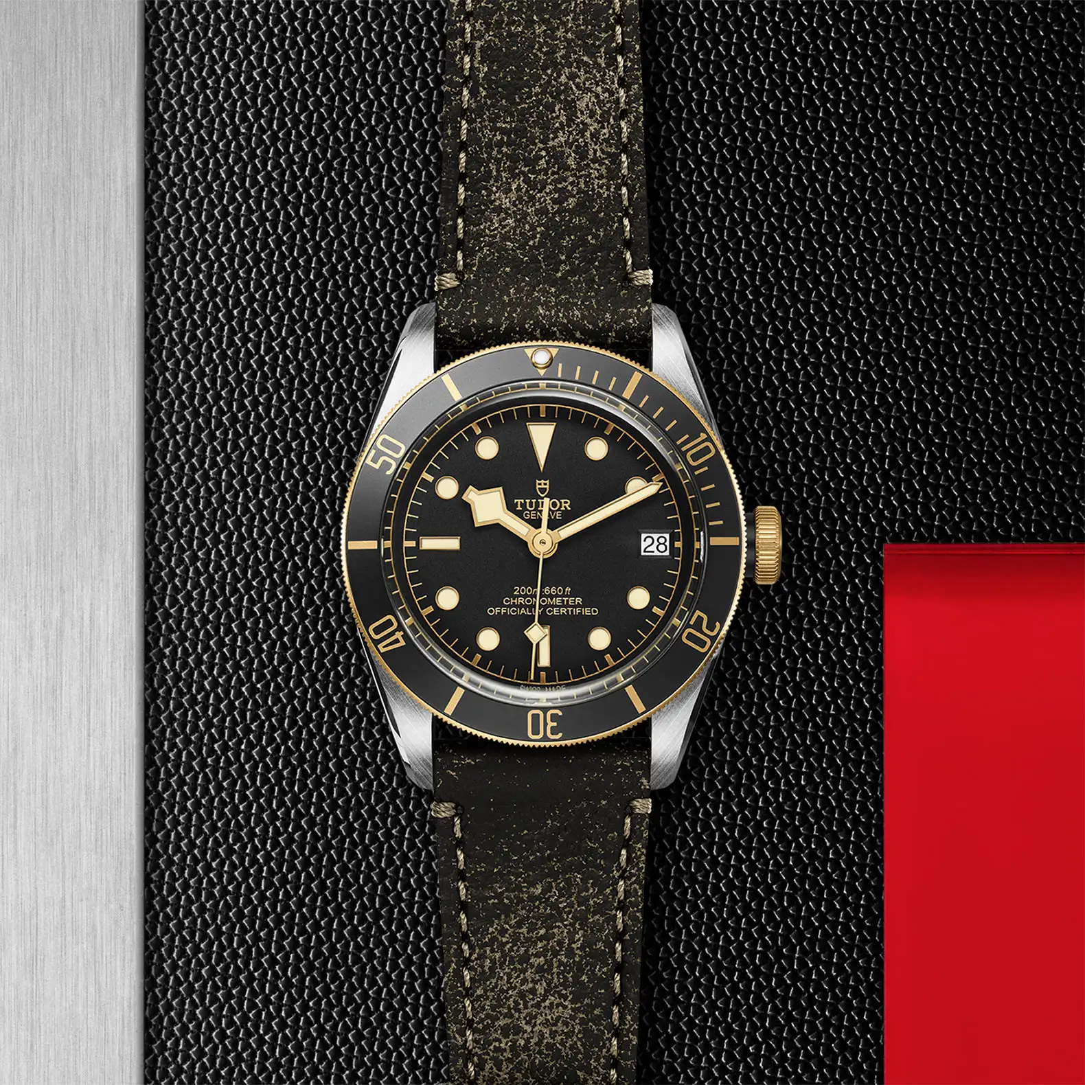 Tudor Black Bay S&G - Model No. M79733N-0007