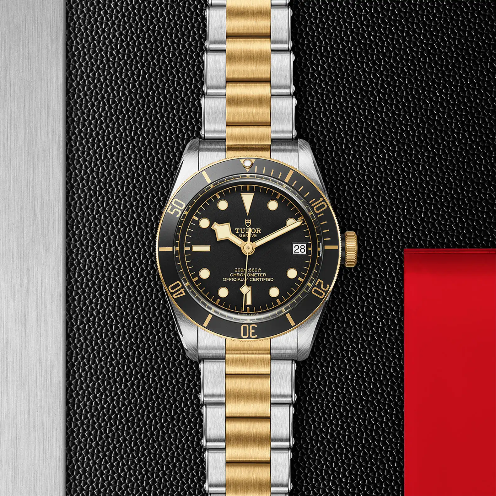 Tudor Black Bay S&G - Model No. M79733N-0008