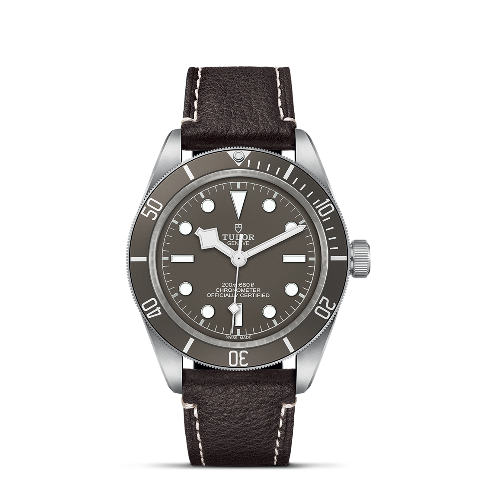 Tudro Black Bay 58 925 - Model No. M79010SG-0001