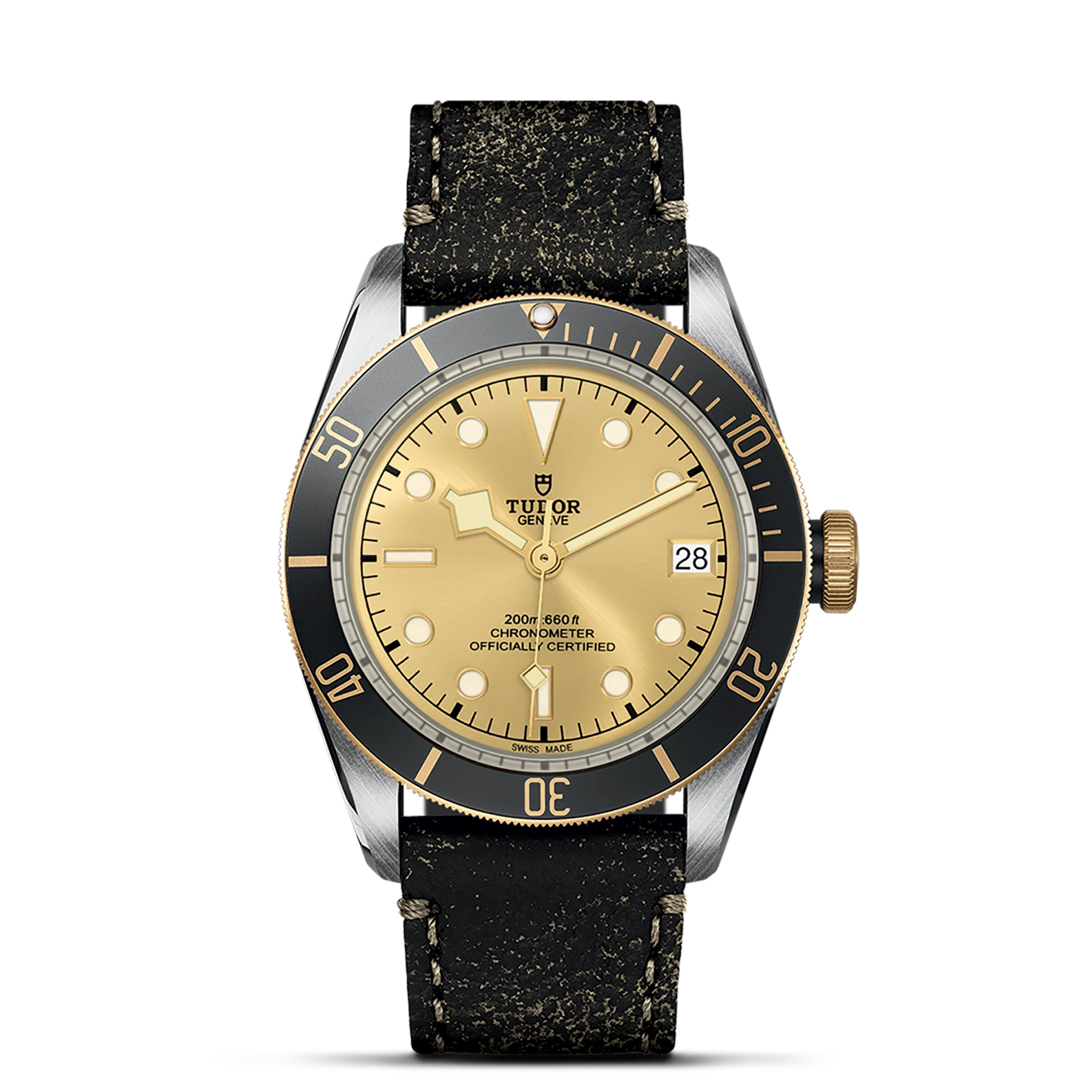 Tudro Black Bay S&G - Model No. M79733N-0003