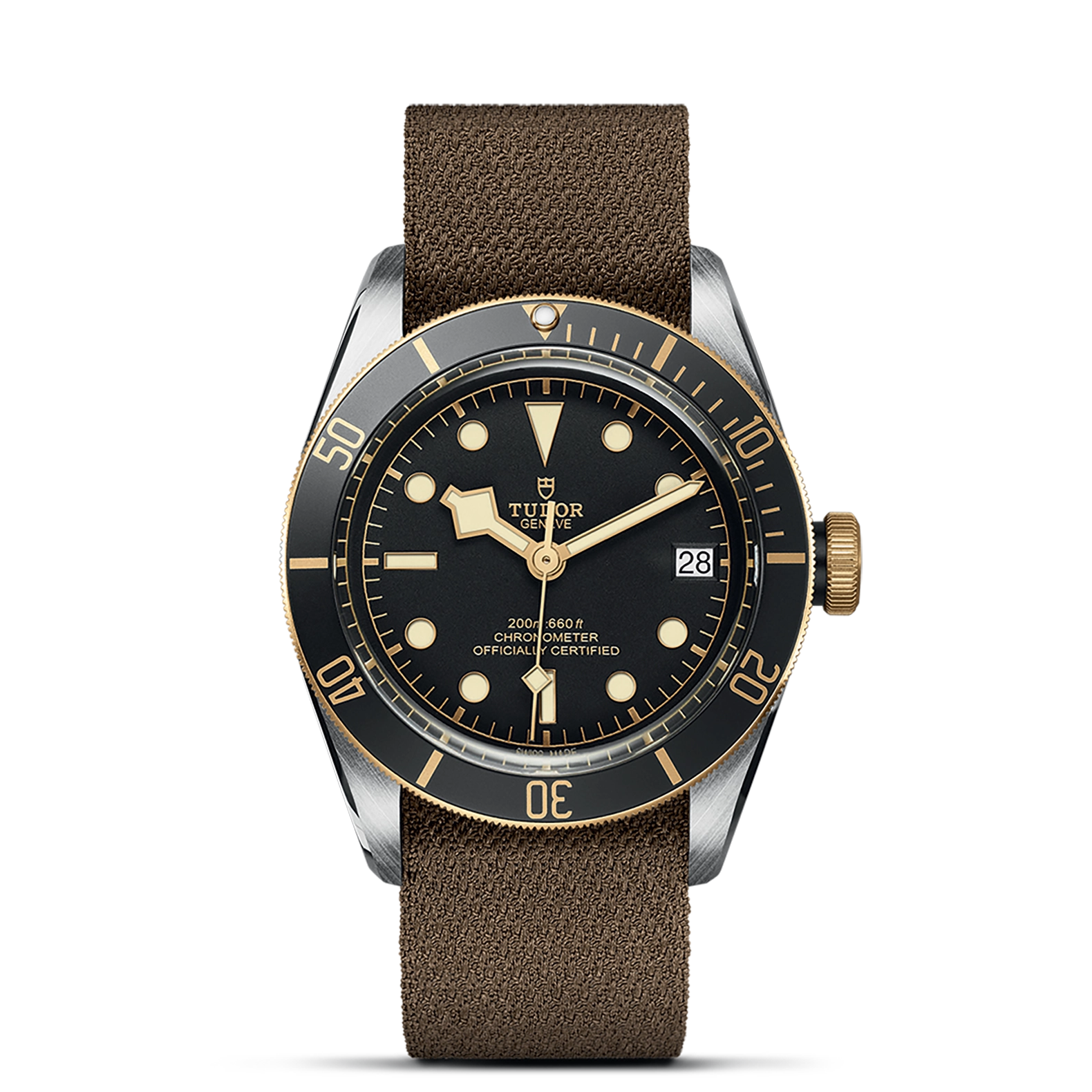 Tudro Black Bay S&G - Model No. M79733N-0005