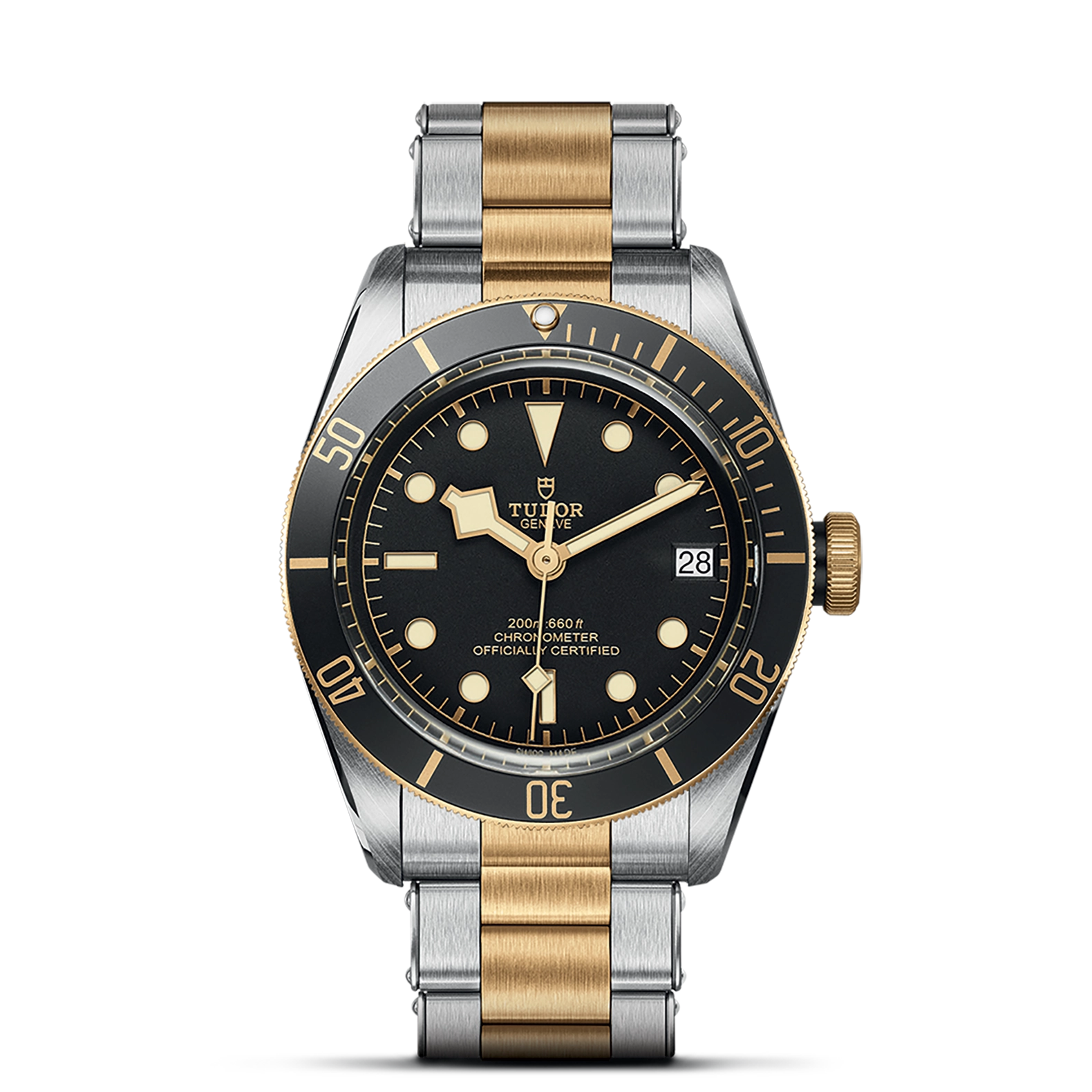 Tudro Black Bay S&G - Model No. M79733N-0008